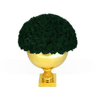 Gold vase with dark green roses on a white background