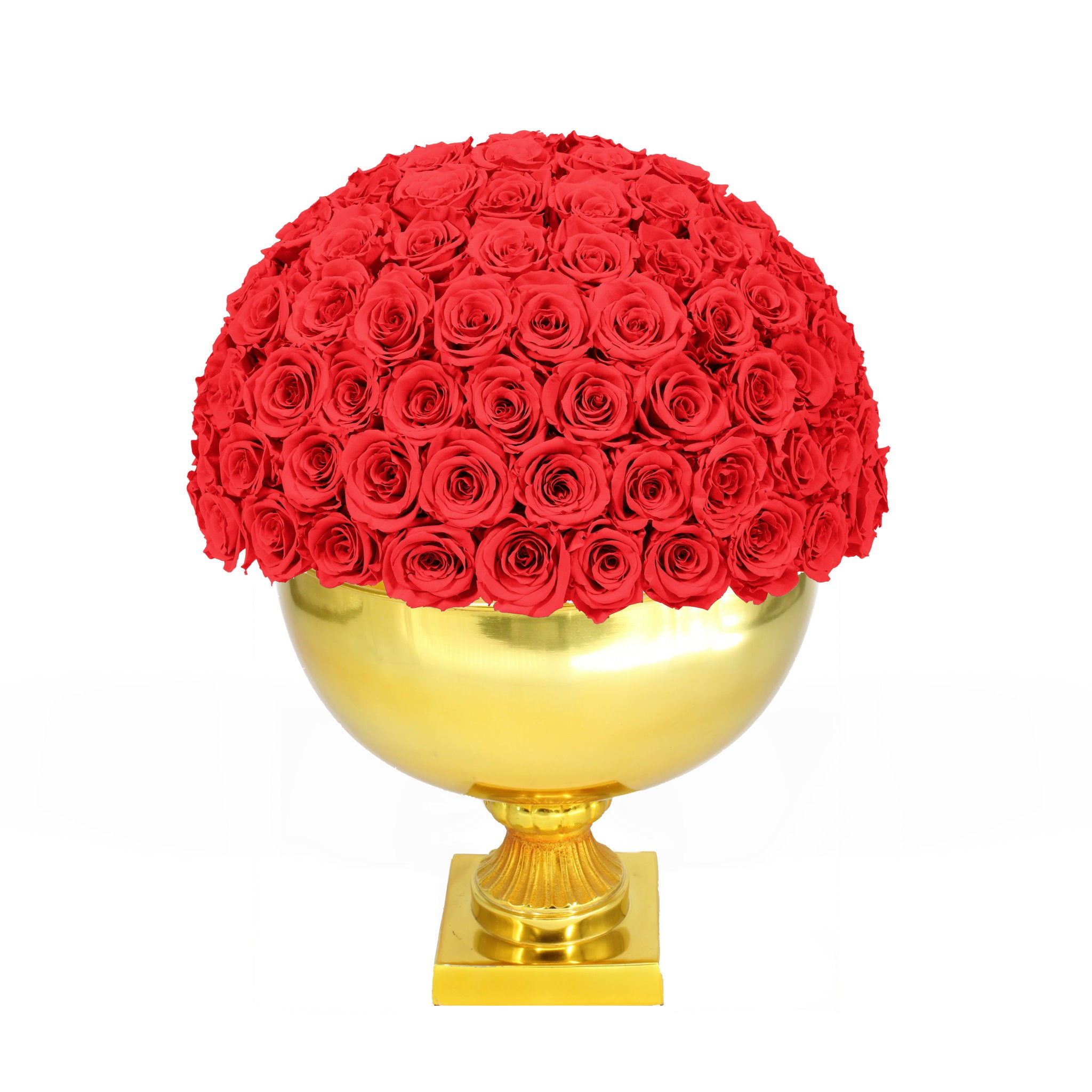 Red roses in a gold spherical vase on a white background