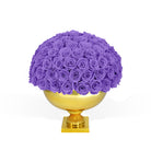 Purple roses in a gold vase on a white background