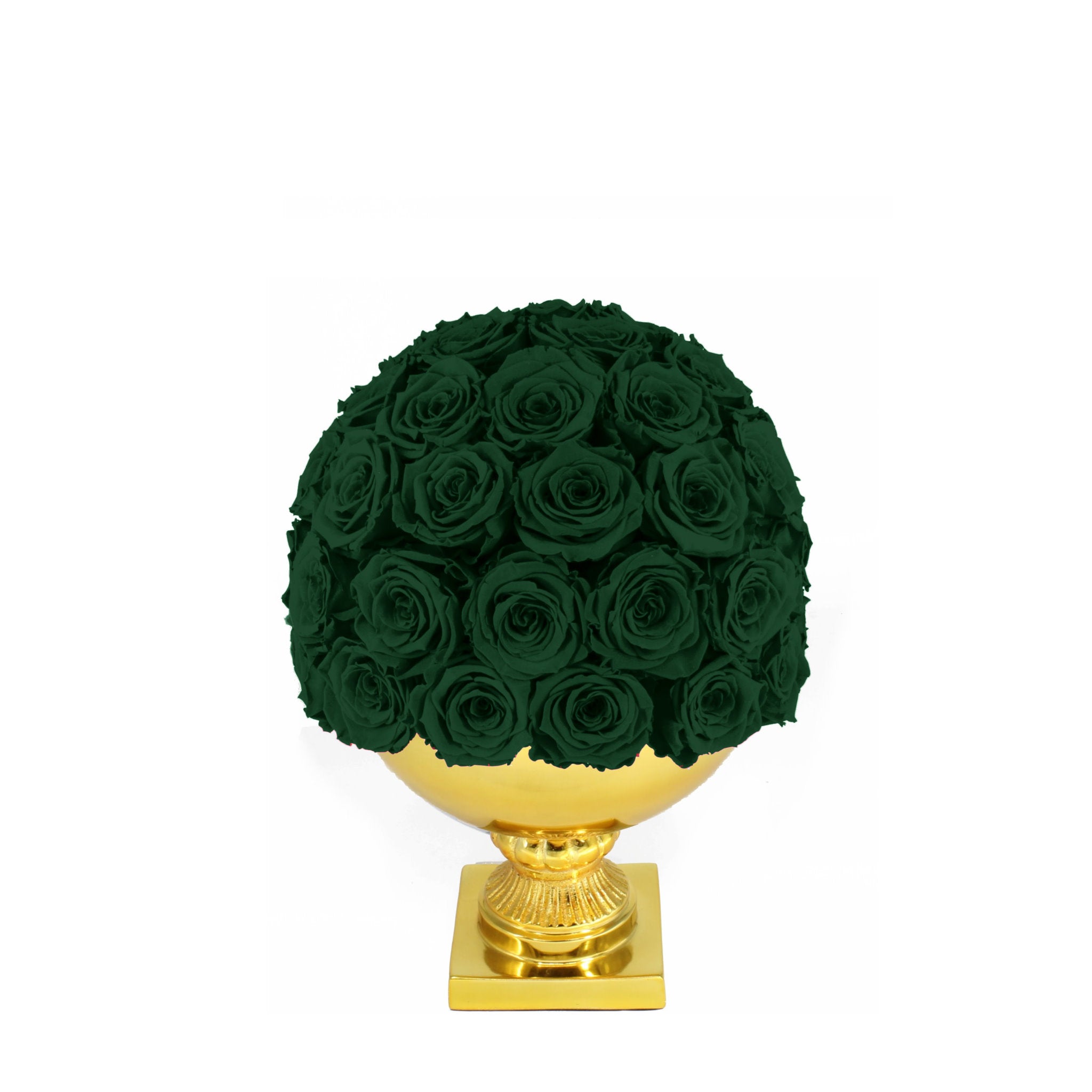 Green roses on a gold pedestal against a white background