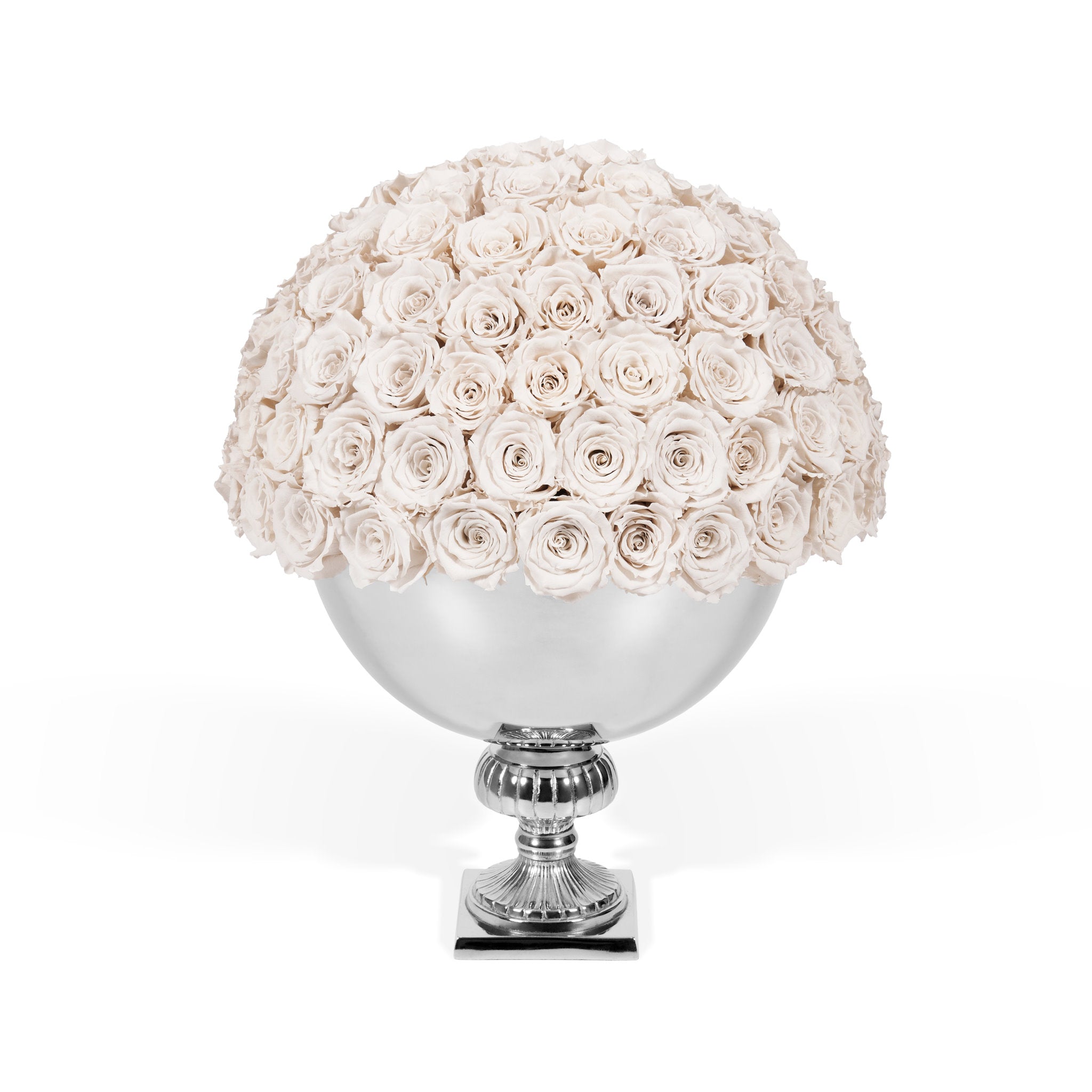 Decorative vase with white roses on a white background