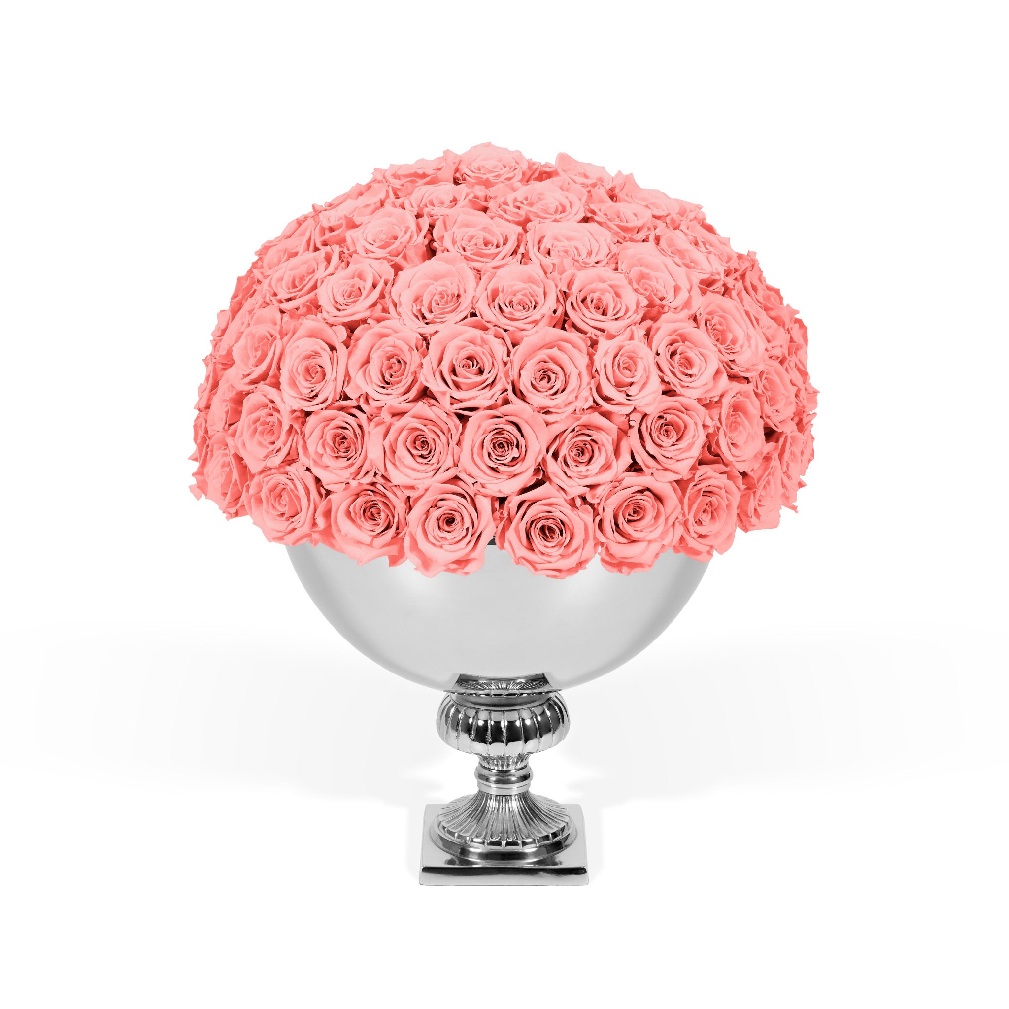 Bouquet of pink roses in a silver vase on a white background