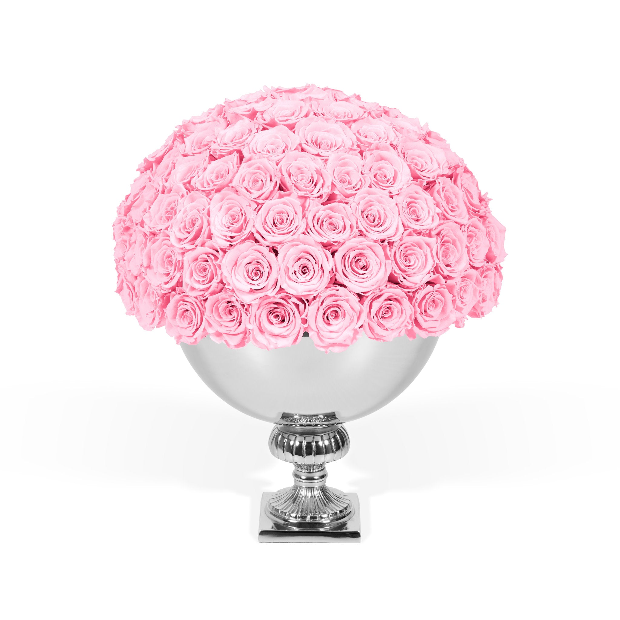 Pink roses in a silver vase on a white background