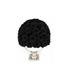 Black roses in a white vase on a white background