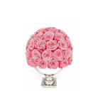 Pink rose ball in a white vase on a white background
