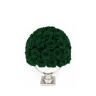 White vase with green roses on a white background