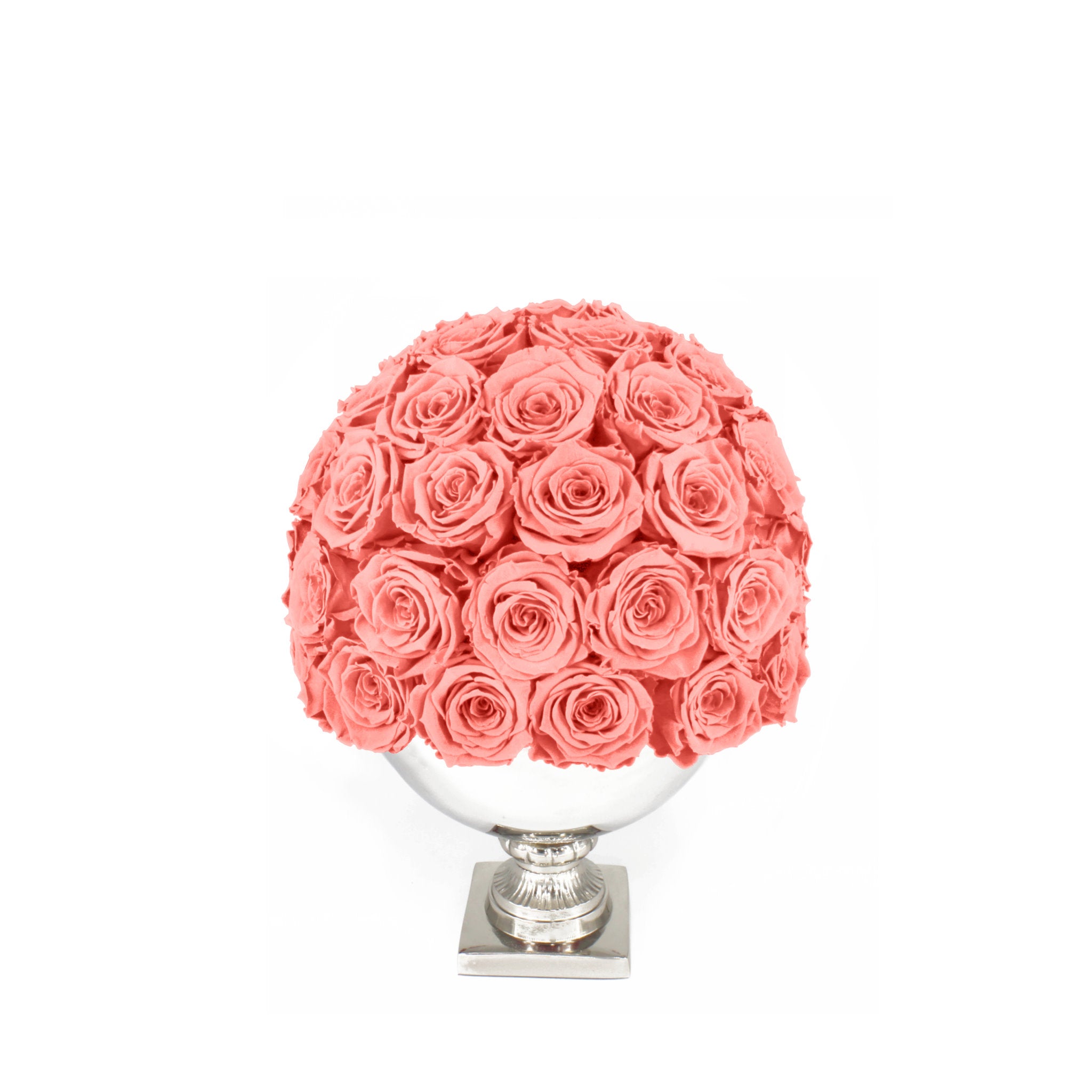 Bouquet of pink roses in a white vase on a white background