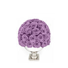 Purple rose ball in a white vase on a white background