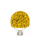 Bouquet of yellow roses in a white vase on a white background