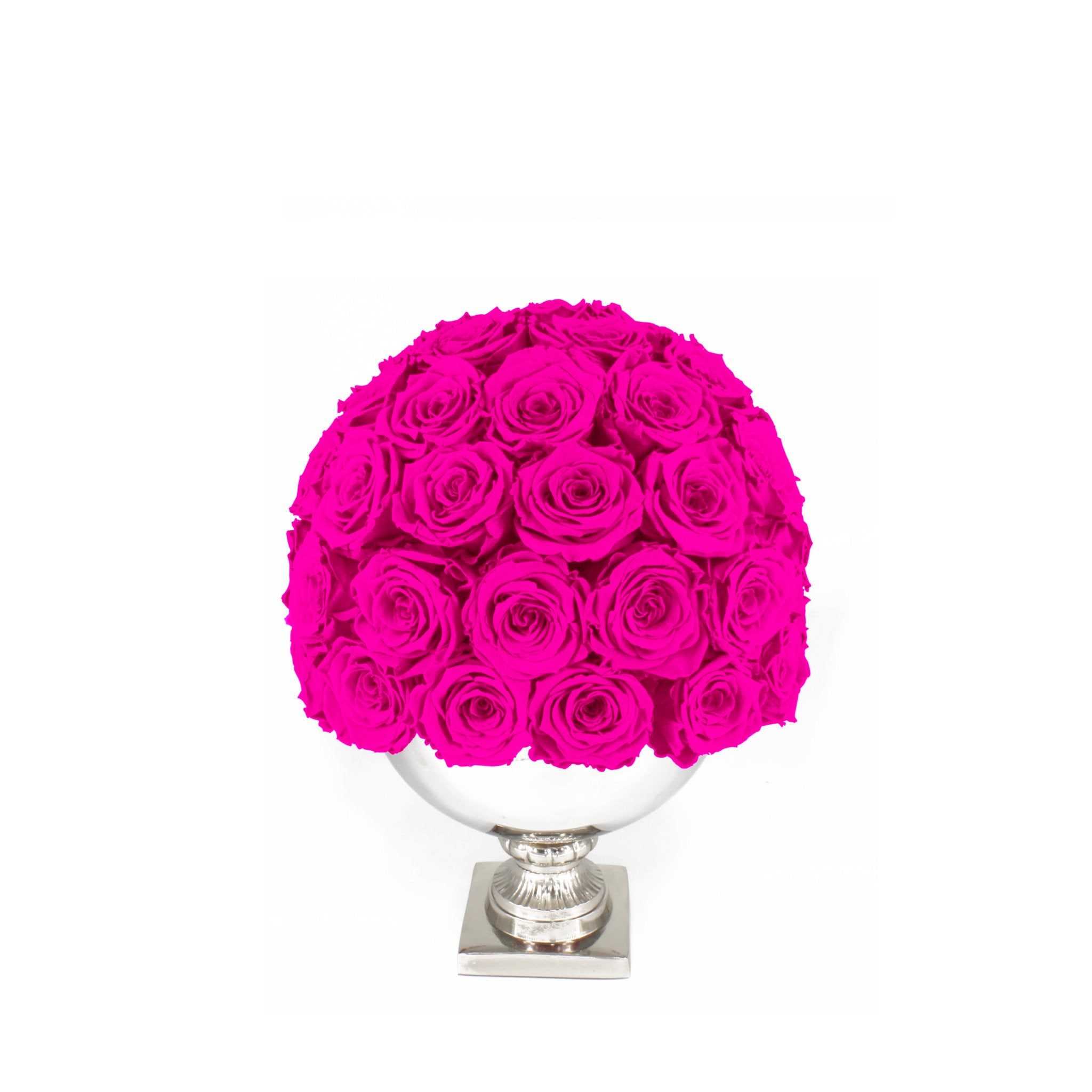 Bouquet of bright pink roses in a white vase on a white background