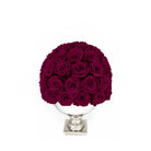 Bouquet of dark red roses in a white vase on a white background