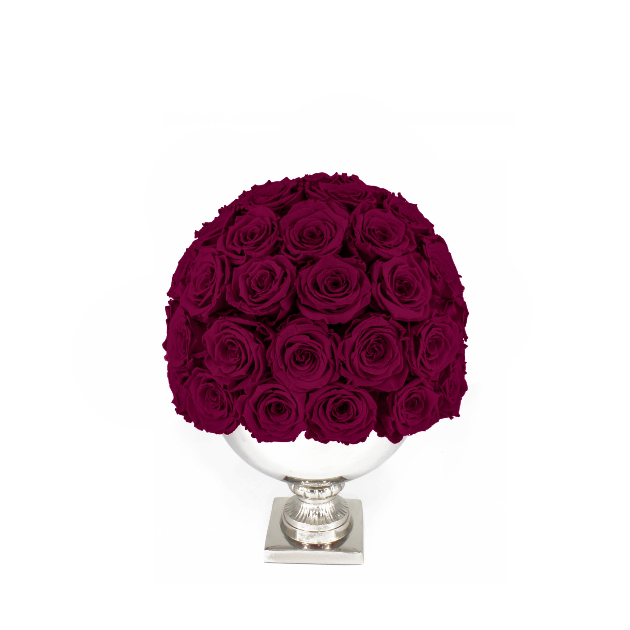 Bouquet of dark red roses in a white vase on a white background