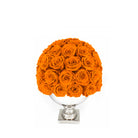 Bouquet of orange roses in a white vase on a white background