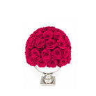Bouquet of red roses in a white vase on a white background