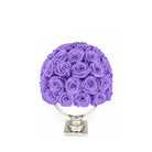 Purple roses in a white vase on a white background