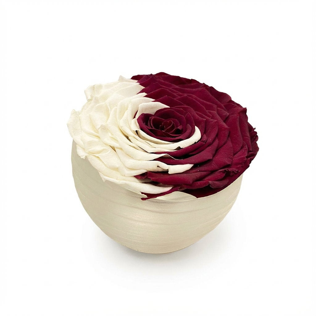 Bouquet of red and white roses in a beige vase on a white background