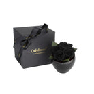 Black roses in a bowl with a matching 'Only Roses' box on a white background