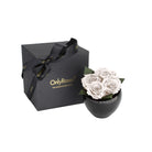Black gift box with 'Only Roses' branding next to a black vase with white roses on a white background