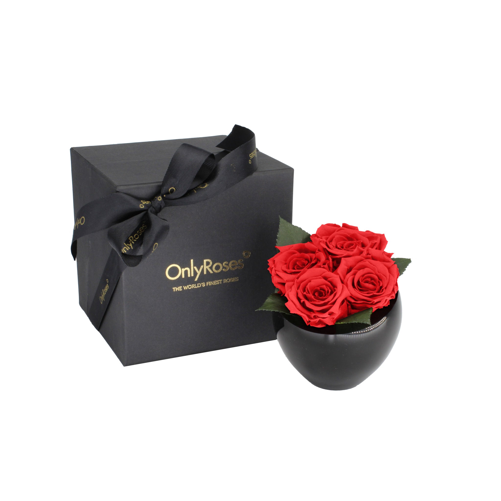 Black gift box with a bow and 'Only Roses' branding next to a black vase with red roses on a white background.