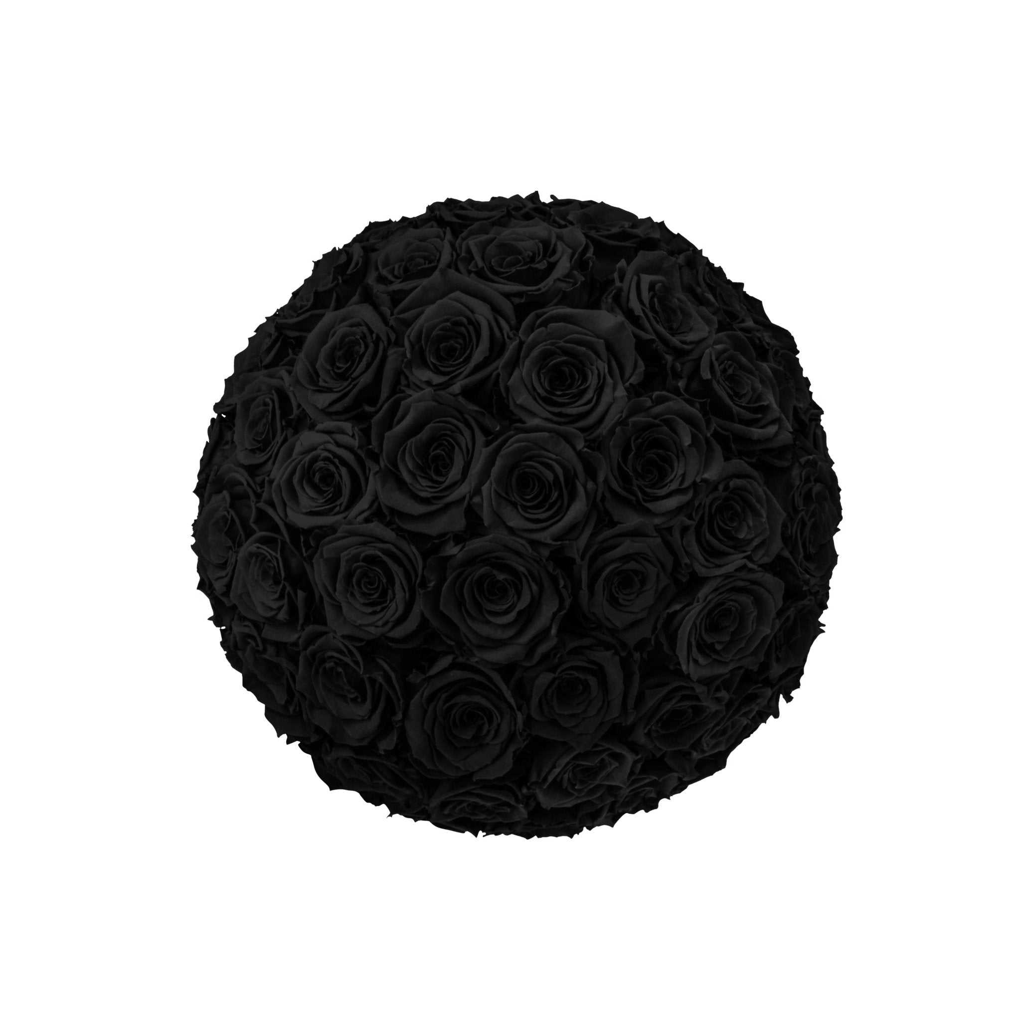 Black rose ball on a white background
