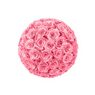 Pink rose ball on a white background