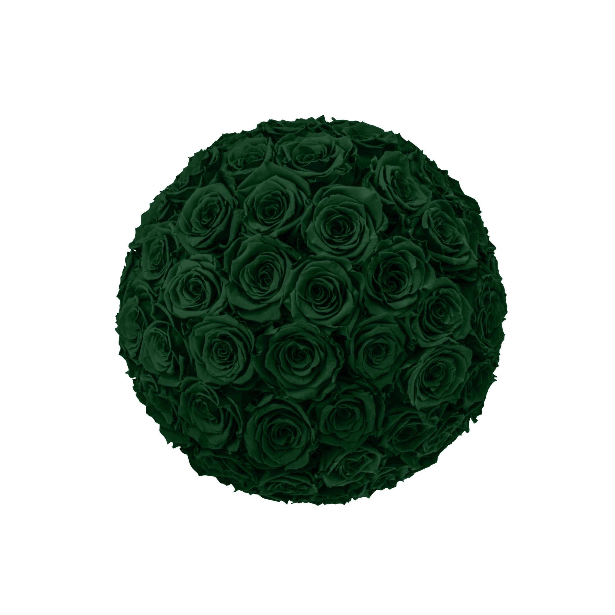 Round arrangement of dark green roses on a white background