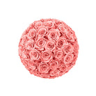 Pink rose ball on a white background