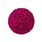 Ball of pink roses on a white background