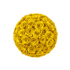 Yellow rose ball on a white background