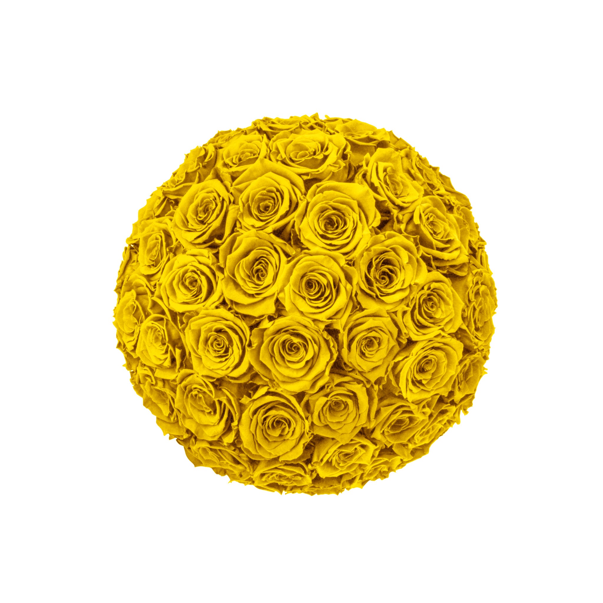 Yellow rose ball on a white background