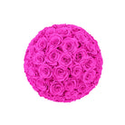 Ball of pink roses on a white background