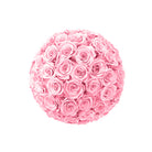 Ball of pink roses on a white background