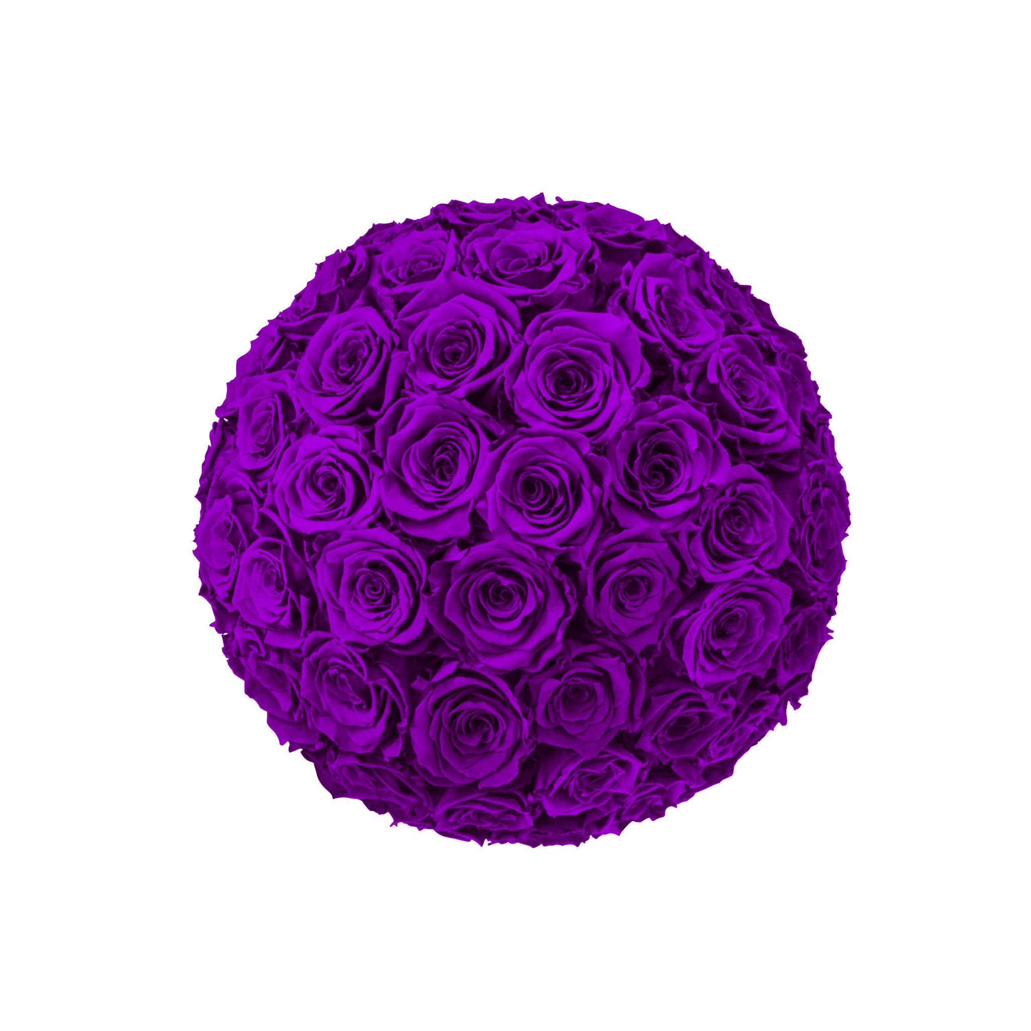 Ball of purple roses on a white background