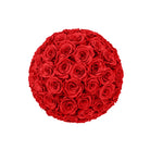 Ball of red roses on a white background