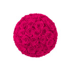 Ball of pink roses on a white background