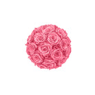 Pink rose ball on a white background