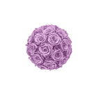 Purple flower ball on a white background
