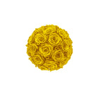 Yellow rose ball on a white background
