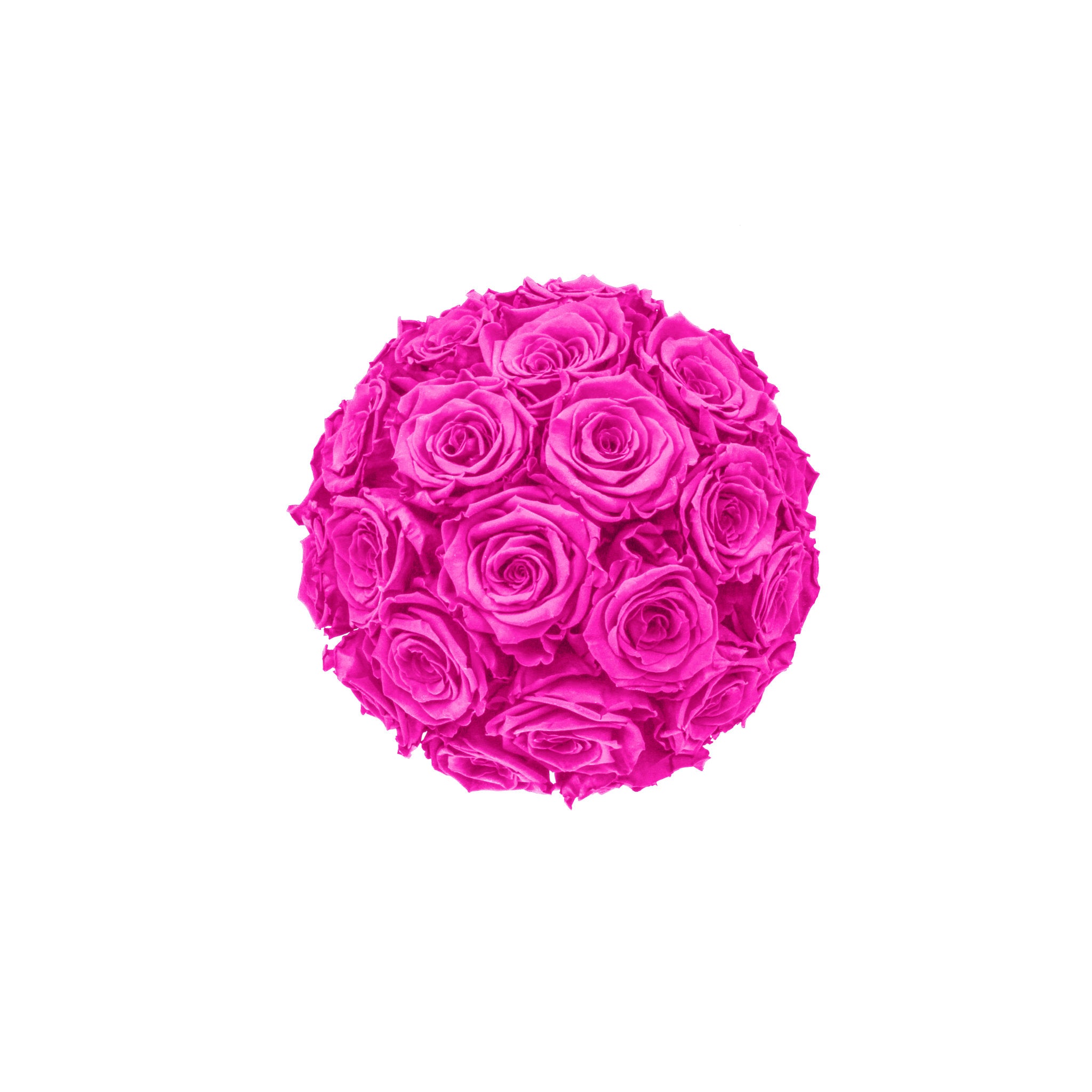 Ball of pink roses on a white background