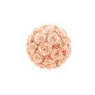Ball of pink roses on a white background