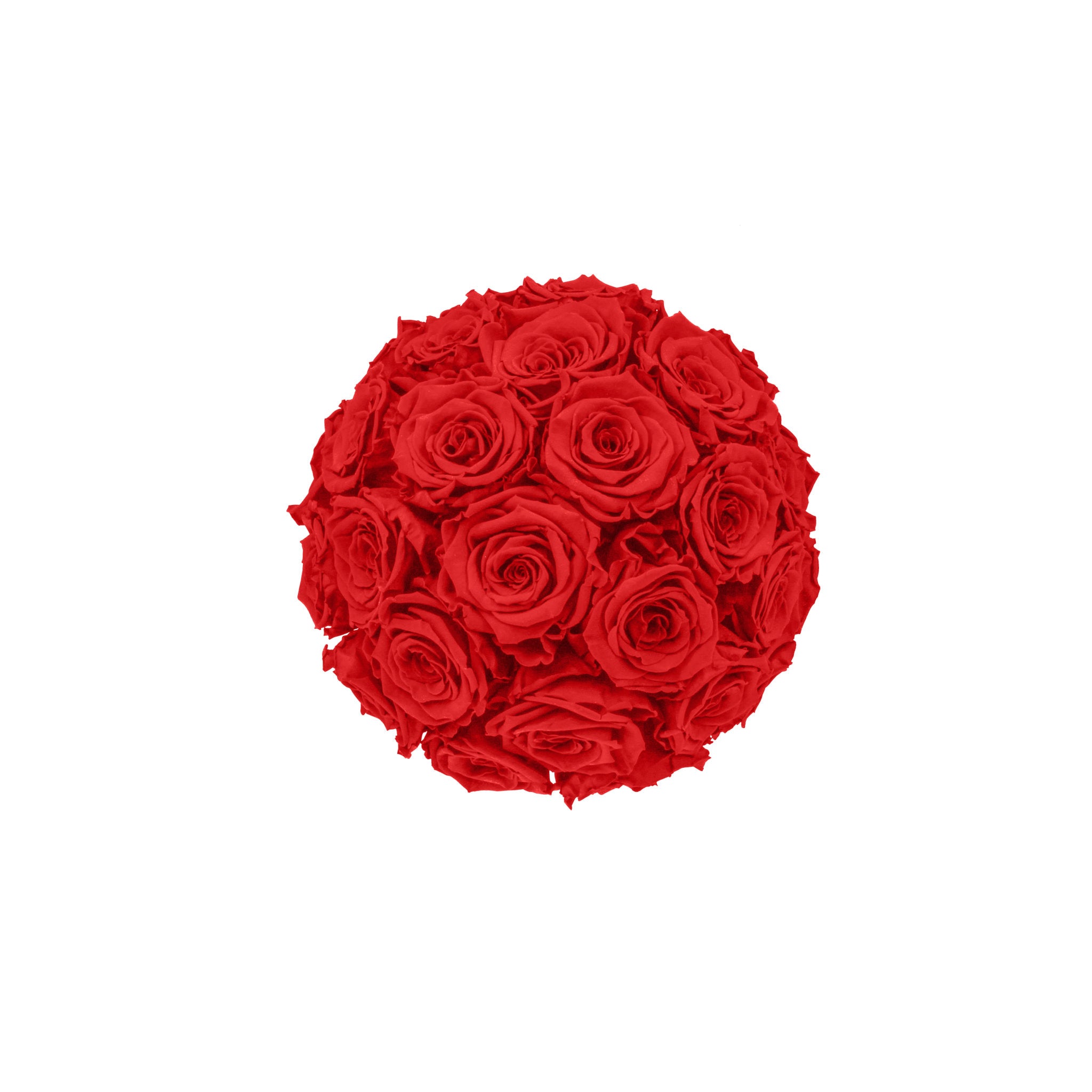Bouquet of red roses on a white background
