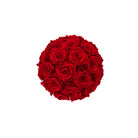 Bouquet of red roses on a white background