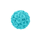 Turquoise rose ball on a white background