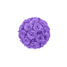 Purple rose ball on a white background