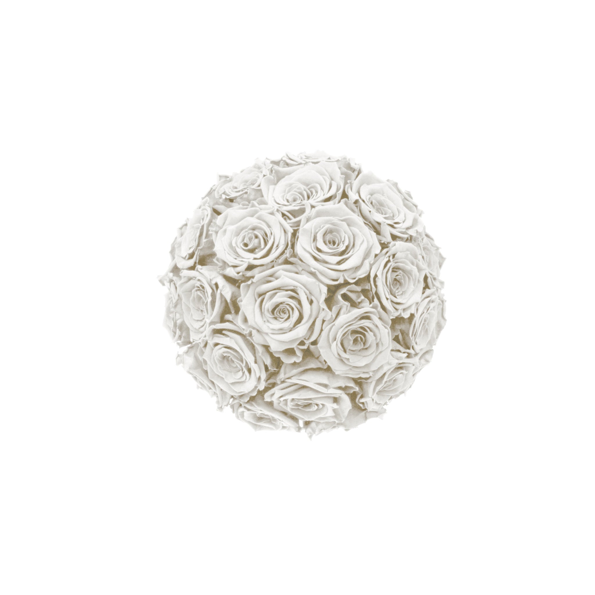 White flower ball made of roses on a white background