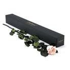 Black box with 'Only Roses' branding, containing a single pink rose on a white background