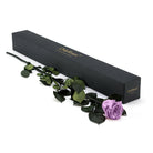 Purple rose with green leaves next to a black box labeled 'Only Roses' on a white background