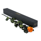 Orange rose with green leaves next to a black box labeled 'Only Roses' on a white background