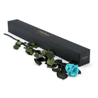 Blue rose with green leaves next to a black box labeled 'Only Roses' on a white background