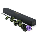 Purple rose with green leaves next to a black box labeled 'Only Roses' on a white background